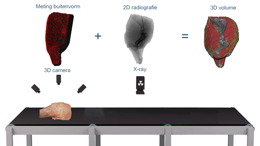 Innovatieve beeldvorming is stap vooruit voor de moderne vleesverwerking
