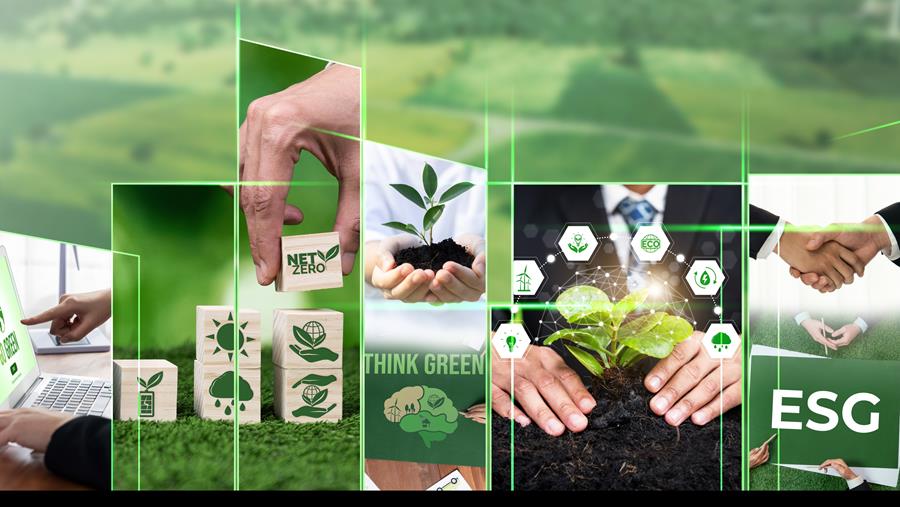 Paper Show Awards 2026: Responsible Office